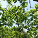 박상민농장 이미지