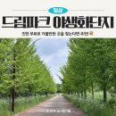 인천지속가능도시연구원 | 드림파크 야생화단지, 인천 무료 가볼만한 곳 찾는다면 여기!(주차위치, 주말방문 후기)