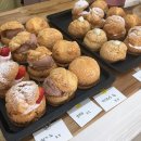 라임이즈 이미지