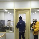 올리브 애견 이미지