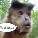 대성휘트니스헬스 이미지