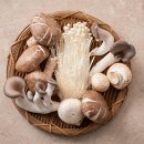 자연의 향 가득한 버섯의 종류와 효능 이미지