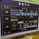 월수금리버스토리정육점 | 싱글벙글서판교점주차/판교싱글벙글/저렴한과일채소가게/천도복숭아후기