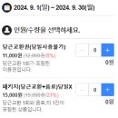 유명산목장 | 아이와 가평: &#39;가평 양떼목장&#39; 먹이주기 체험 &amp; &#39;유명산 도토리마을&#39; 후기