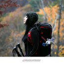 지장근행정사사무소 | 경북 봉화산행/청량사, 가을을 물들이다.!【17년11월5일】