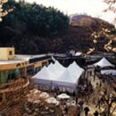 매실향기 이미지