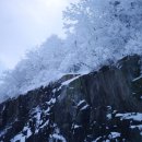 서석농협주유소 이미지