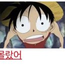 작열하는 파라다이스 ~사운드플래닛 페스티벌~ 후기