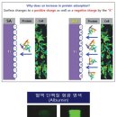 장현치과의원 이미지