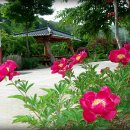 진주 농장 이미지