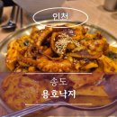 송도안경아울렛(5공구점) | 송도 트리플스트리트 맛집| 매콤한 용호낙지 내돈내산