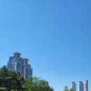 문화공원 북측 화장실 | [울산 남구] 도심 속 야외 헬스장? '울산 문화공원'에서 몸과 마음을 살리는 루틴 만들기