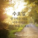 5월 11일(수) 어제 삼계탕 먹고 청와대 투어 이미지