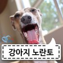 화서동물병원 이미지