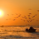 어부의노래 이미지