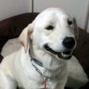 계창초등학교 이미지