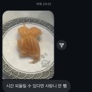 박촌강아지 | 🐾🐕‍🦺👩🏻‍💻⚽️🥂