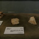 박물관로 이미지