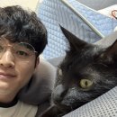 애드K | 캐로의 블로그 축 방문자 20만명 달성! 간단한 자축글 + 애드포스트 정산 후기!