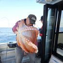 꼬동게스트하우스 이미지