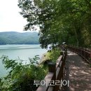 장성호수변길 이미지