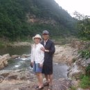 구미정야영장 화장실 이미지