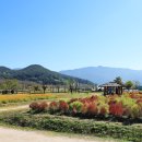 황산공원 이미지