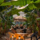 늘갓농장 이미지