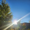 한정로2 이미지