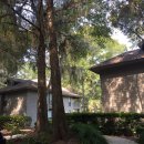 힐튼헤드 아일랜드 사우스캐롤라이나 (Hilton head Island) 이미지