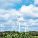 가시리 태양광발전소 이미지