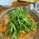 동태탕에 집중하다 | 대전 신흥역 <동태탕에 집중하다> (내돈내산)🐟영화 군체🍿