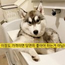 하이24H | [디올](공병후기)포에버 24H 웨어 하이퍼펙션 파운데이션 내돈내산