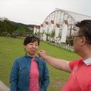 횡성목장 이미지