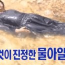 느티공원 네이버블로그