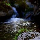 아이언짐2관 이미지