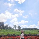 한성목장 이미지