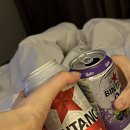 VINS(빈스)풀빌라 | 발리여행 스미냑 데 빈스 스카이 호텔(de vins sky hotel)