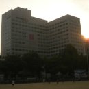 그릭스코리아