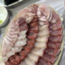 감포횟집 | 마산 어시장 방어맛집 감포횟집 후기 - 예약, 포장 까지