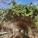 고산자연휴양림 캠핑장 입구 이미지