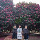 남원읍-53 이미지