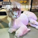에이(A)무인카페 | 홍대실내데이트 테이블에이 동물원 고양이카페 아이랑 홍대 놀거리
