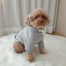 요미상점
