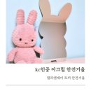 릴리앤제이 | 깨지지 않는 안전거울, 릴리앤제이 배둥이 토끼 아크릴 아기거울 사용 후기