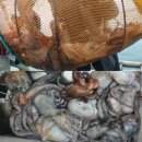 오늘도 여수 이미지