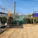 접실 경로당 | 경주 카페새미담 | 수제비와 김밥을 맛볼 수 있는 경주 브런치 카페