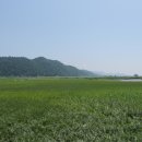 건양식당 - 안산시 상록구 | 건양식당