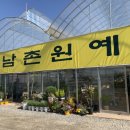 남촌원예