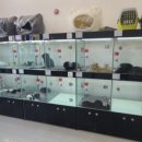 토이켄넬 이미지